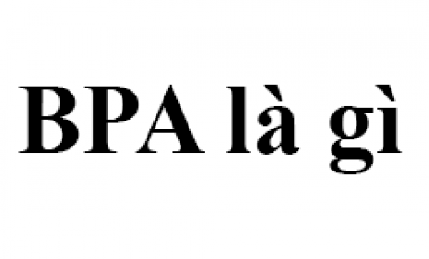 CHỈ SỐ BPA CỦA NHỰA LÀ GÌ?